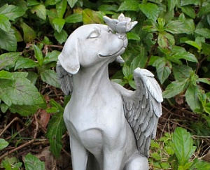 Изготовление памятников для животных на могилу